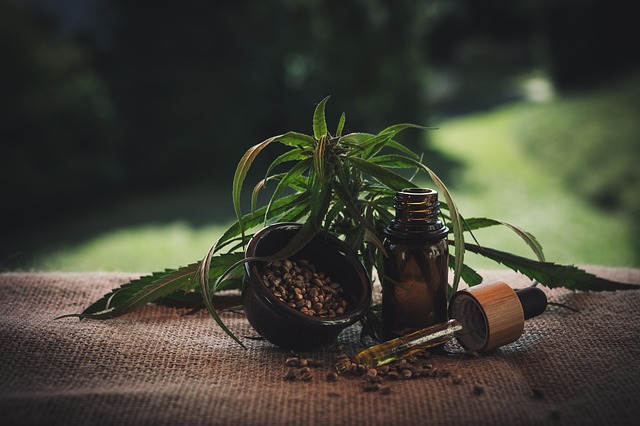 Dufte Sache: Wie CBD-Hasch das emotionale Gedächtnis weckt